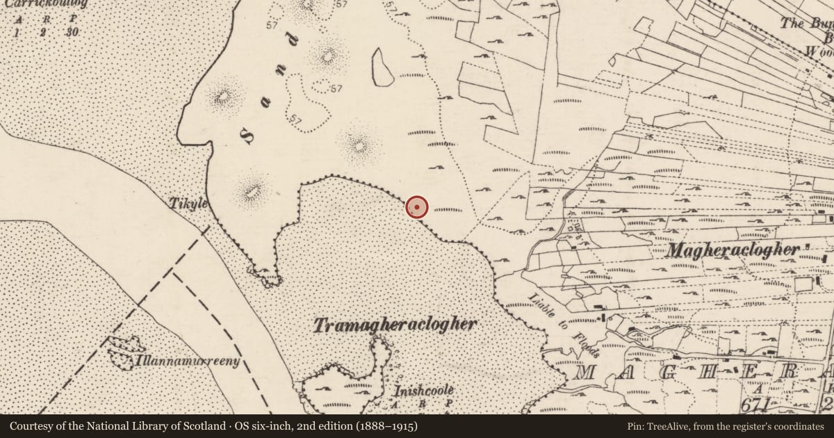 Ordnance Survey six-inch map, 2nd edition (1888–1915) covering the location of Cist, MacHaire Chlochair, County Donegal, with a pin at the register's coordinates