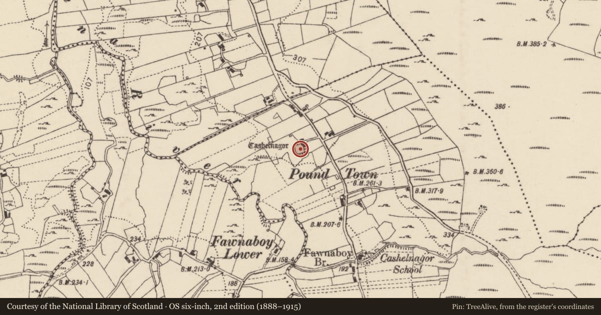 Ordnance Survey six-inch map, 2nd edition (1888–1915) covering the location of Ringfort - cashel, Caiseal Na Gcorr, County Donegal, with a pin at the register's coordinates