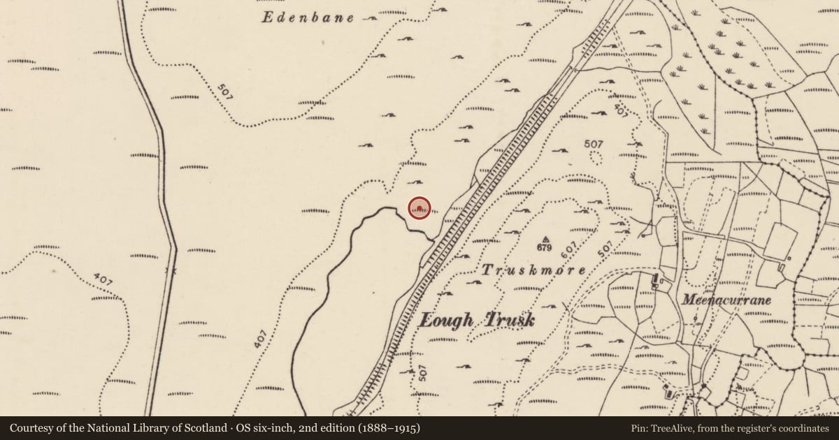 Ordnance Survey six-inch map, 2nd edition (1888–1915) covering the location of Standing stone, Fána Bhuí, County Donegal, with a pin at the register's coordinates