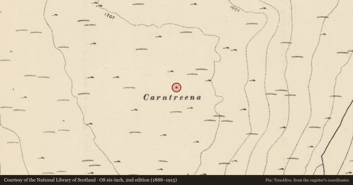 Ordnance Survey six-inch map, 2nd edition (1888–1915) covering the location of Cairn - burial cairn, Caoldroim Uachtarach, County Donegal, with a pin at the register's coordinates