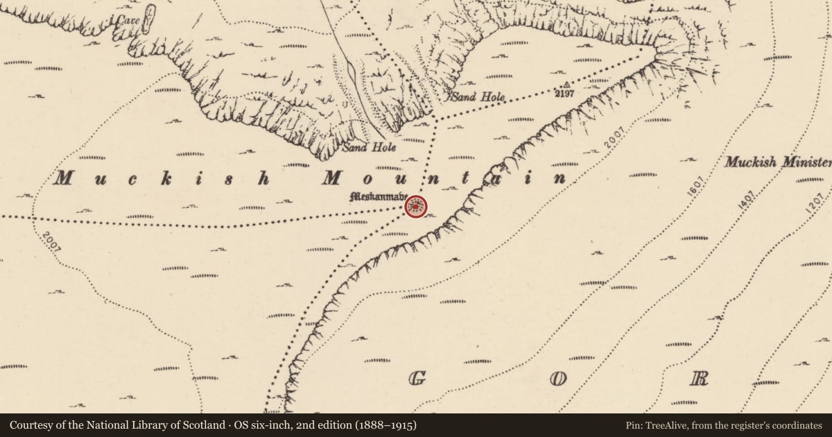 Ordnance Survey six-inch map, 2nd edition (1888–1915) covering the location of Cairn - unclassified, County Donegal, with a pin at the register's coordinates