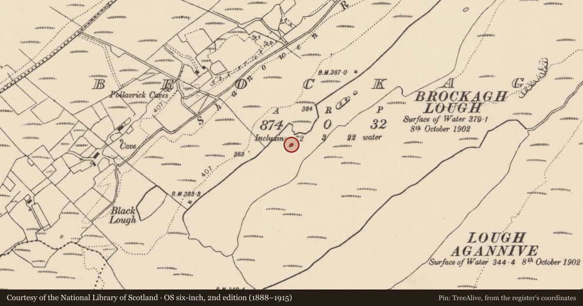 Ordnance Survey six-inch map, 2nd edition (1888–1915) covering the location of Crannog, Brockagh, County Donegal, with a pin at the register's coordinates