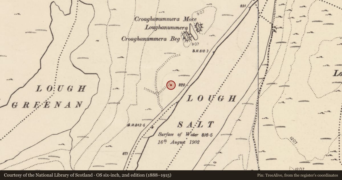 Ordnance Survey six-inch map, 2nd edition (1888–1915) covering the location of Stone row, An Bearnas Íochtarach, County Donegal, with a pin at the register's coordinates