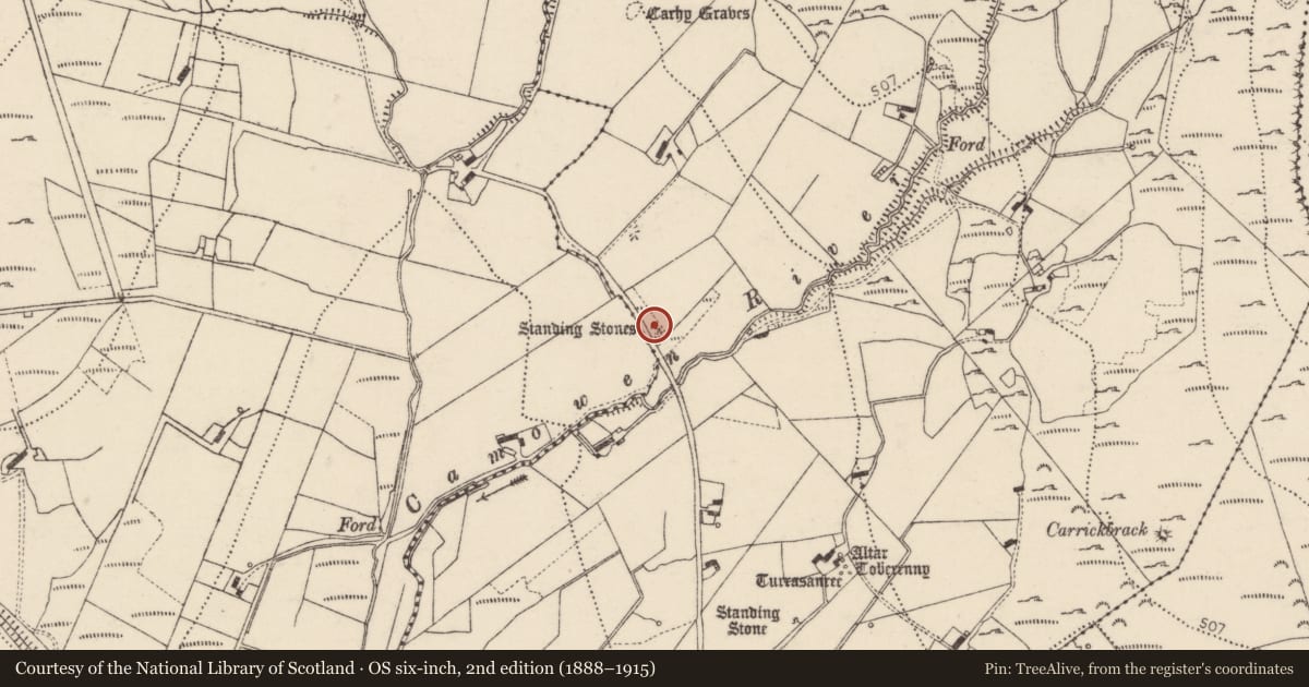 Ordnance Survey six-inch map, 2nd edition (1888–1915) covering the location of Standing stone - pair, An Bearnas Íochtarach, County Donegal, with a pin at the register's coordinates