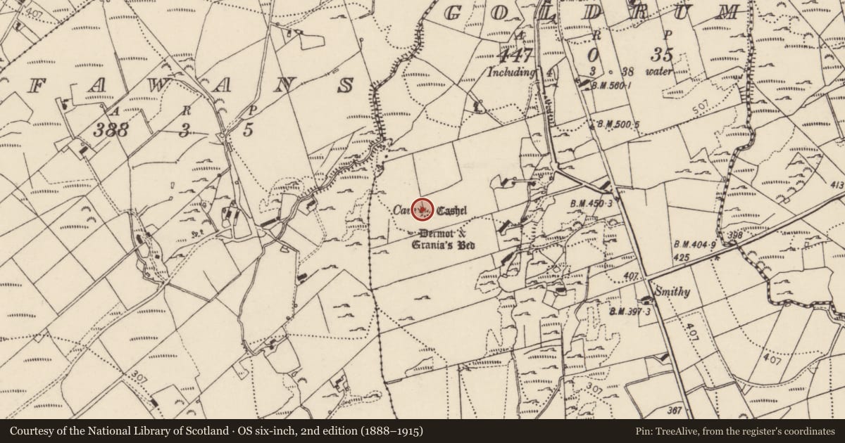 Ordnance Survey six-inch map, 2nd edition (1888–1915) covering the location of Souterrain, An Ghabhail, County Donegal, with a pin at the register's coordinates