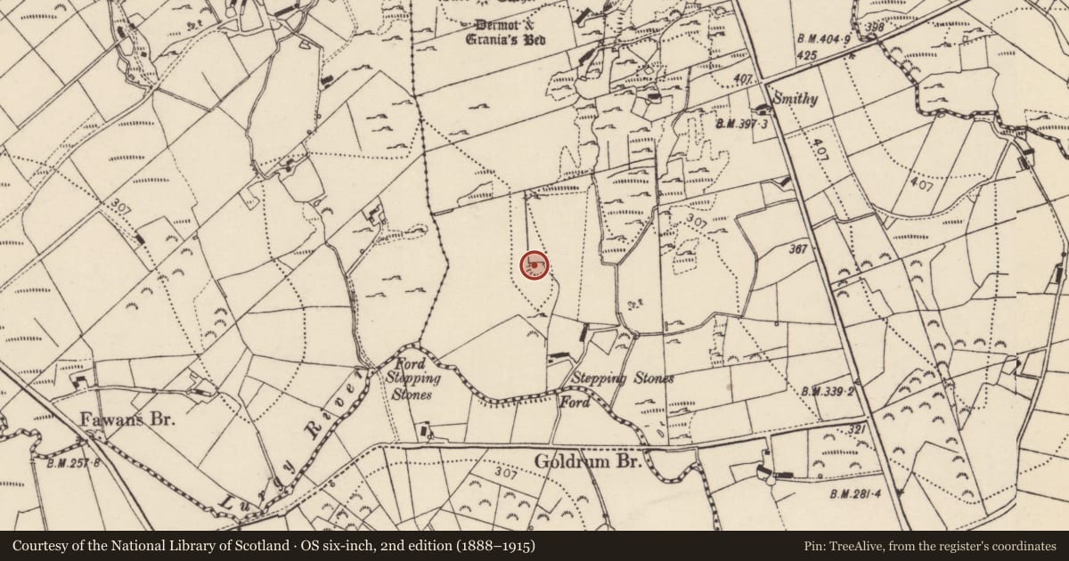 Ordnance Survey six-inch map, 2nd edition (1888–1915) covering the location of Ringfort - rath, An Ghabhail, County Donegal, with a pin at the register's coordinates