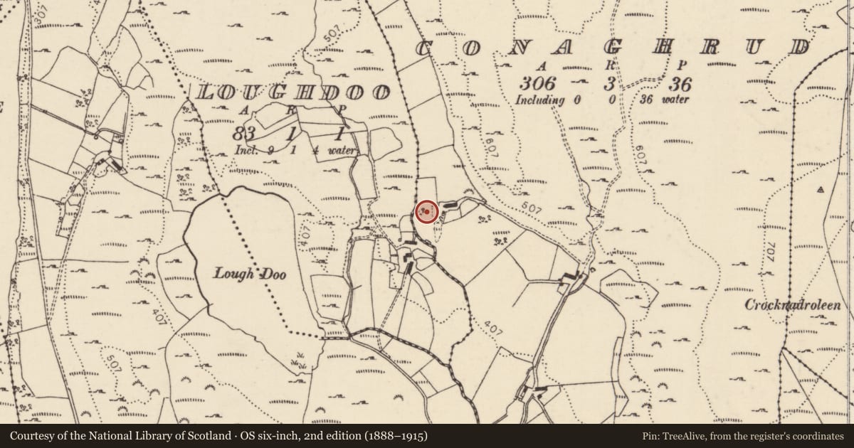 Ordnance Survey six-inch map, 2nd edition (1888–1915) covering the location of Standing stone, Conaghrud, County Donegal, with a pin at the register's coordinates