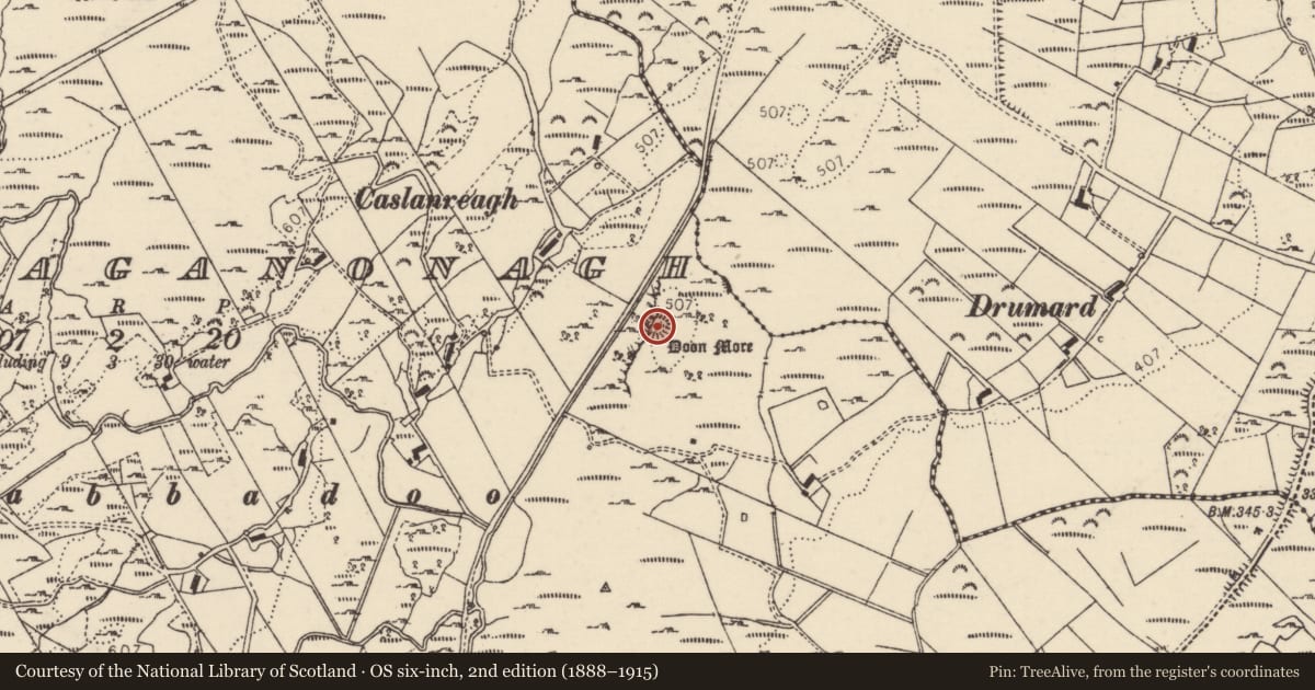Ordnance Survey six-inch map, 2nd edition (1888–1915) covering the location of Ringfort - cashel, Carrownaganonagh, County Donegal, with a pin at the register's coordinates