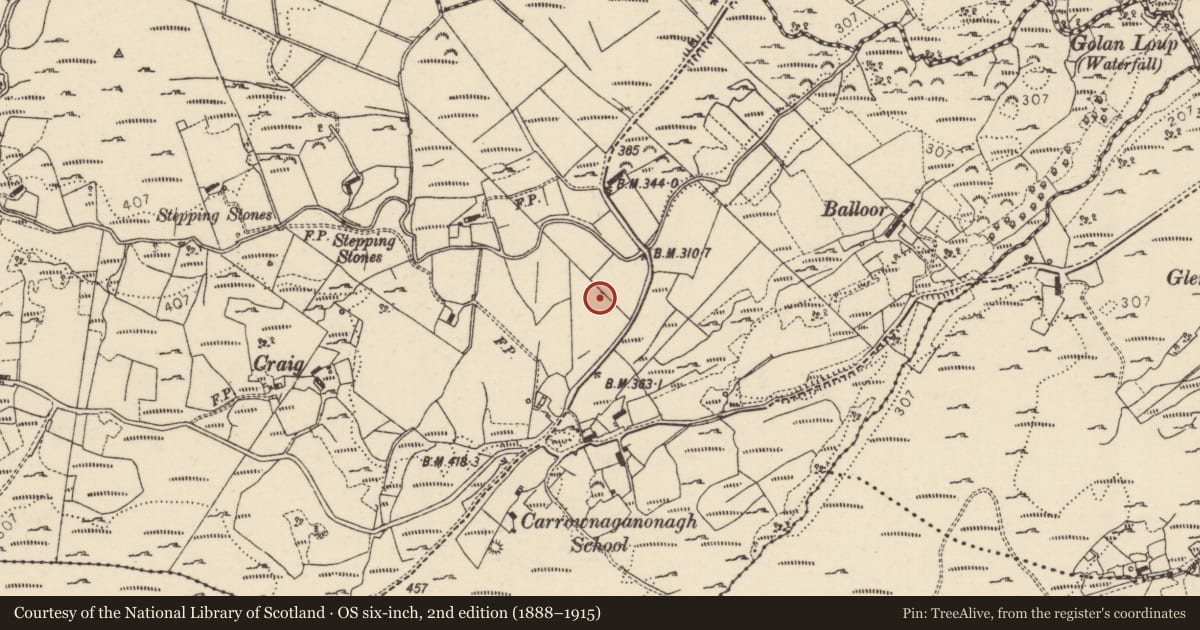Ordnance Survey six-inch map, 2nd edition (1888–1915) covering the location of Megalithic tomb - wedge tomb, Carrownaganonagh, County Donegal, with a pin at the register's coordinates