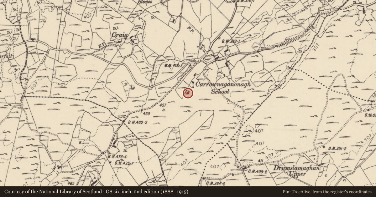 Ordnance Survey six-inch map, 2nd edition (1888–1915) covering the location of Ringfort - cashel, Carrownaganonagh, County Donegal, with a pin at the register's coordinates