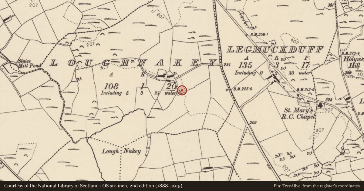 Ordnance Survey six-inch map, 2nd edition (1888–1915) covering the location of Megalithic tomb - court tomb, Loughnakey, County Donegal, with a pin at the register's coordinates