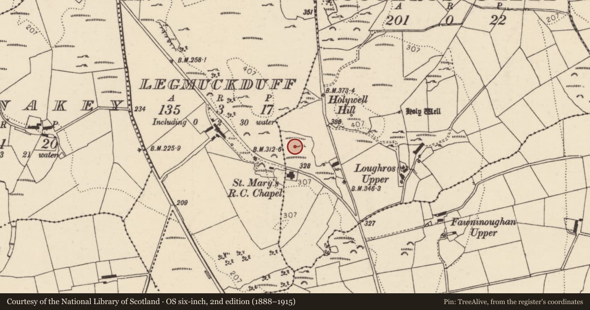 Ordnance Survey six-inch map, 2nd edition (1888–1915) covering the location of Megalithic tomb - unclassified, Loughros Glebe, County Donegal, with a pin at the register's coordinates