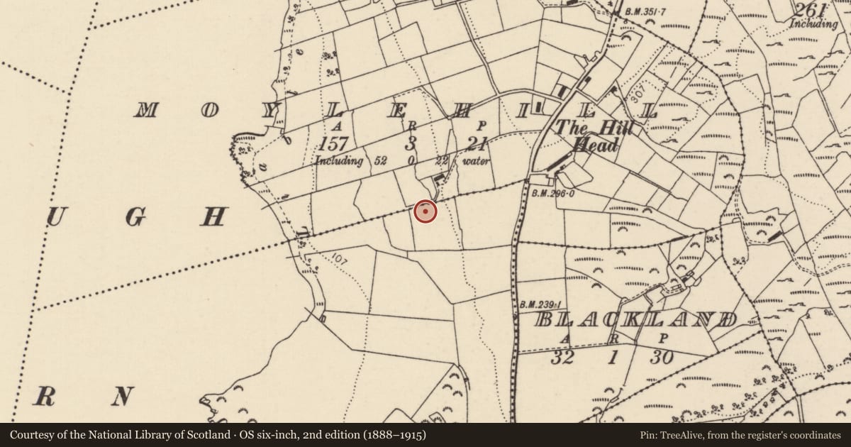 Ordnance Survey six-inch map, 2nd edition (1888–1915) covering the location of Rock art, Moyagh, County Donegal, with a pin at the register's coordinates
