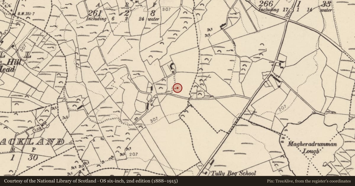 Ordnance Survey six-inch map, 2nd edition (1888–1915) covering the location of Ringfort - rath, Oghill, County Donegal, with a pin at the register's coordinates