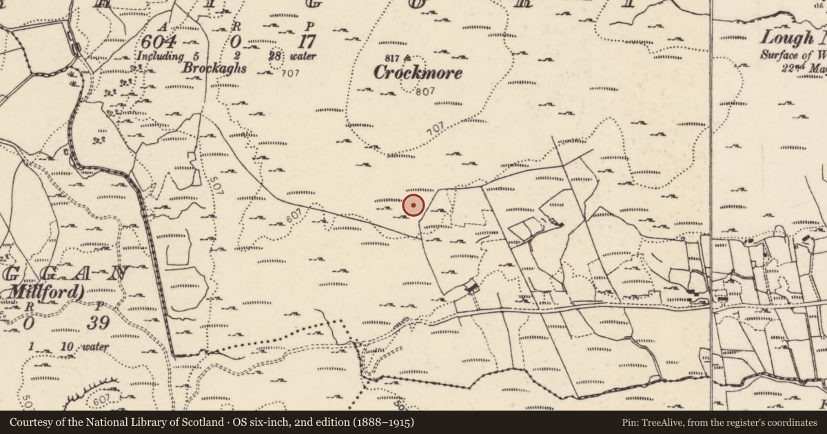 Ordnance Survey six-inch map, 2nd edition (1888–1915) covering the location of Megalithic structure, Garrygort, County Donegal, with a pin at the register's coordinates
