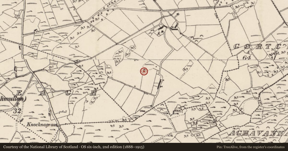 Ordnance Survey six-inch map, 2nd edition (1888–1915) covering the location of Ringfort - unclassified, Glencross, County Donegal, with a pin at the register's coordinates