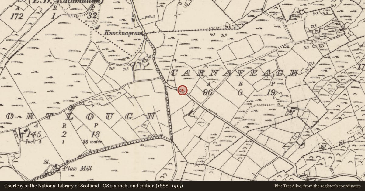 Ordnance Survey six-inch map, 2nd edition (1888–1915) covering the location of Standing stone, Carnafeagh, County Donegal, with a pin at the register's coordinates