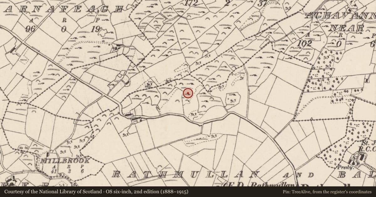 Ordnance Survey six-inch map, 2nd edition (1888–1915) covering the location of Ringfort - rath, Rathmullan And Ballyboe, County Donegal, with a pin at the register's coordinates