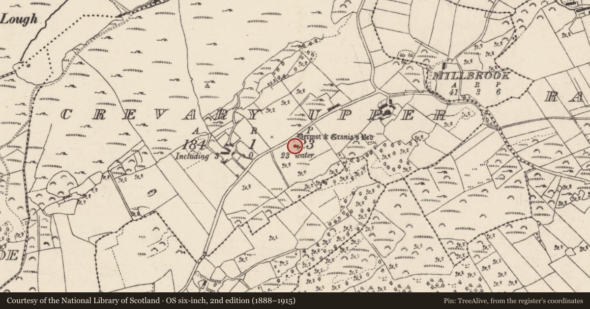 Ordnance Survey six-inch map, 2nd edition (1888–1915) covering the location of Megalithic tomb - court tomb, Crevary Upper, County Donegal, with a pin at the register's coordinates
