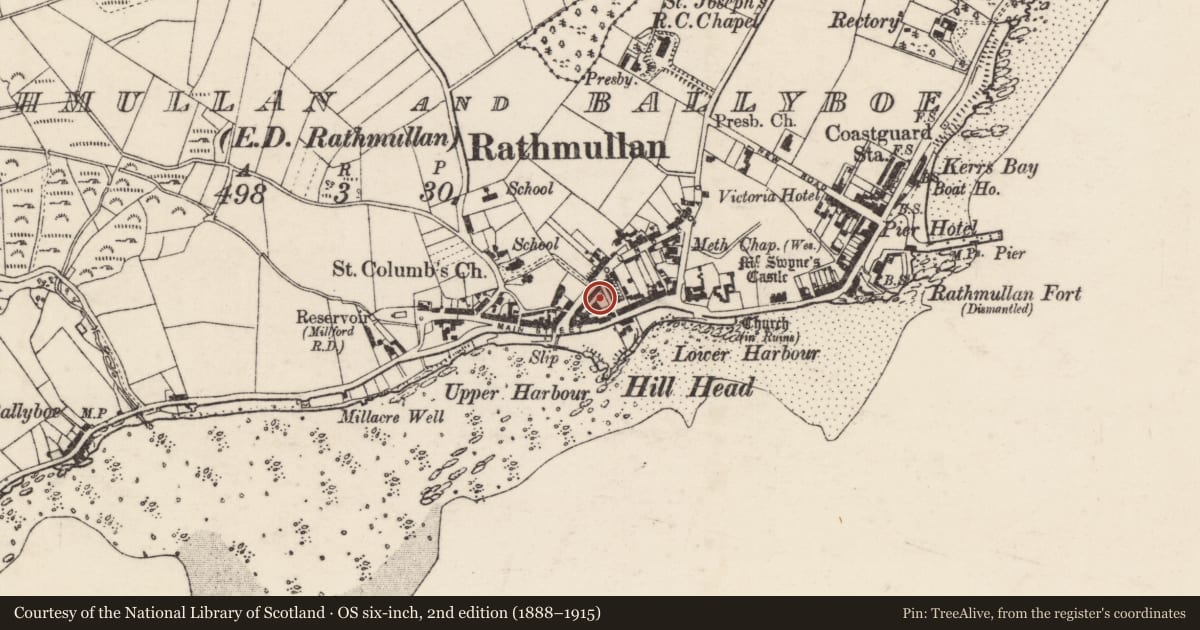 Ordnance Survey six-inch map, 2nd edition (1888–1915) covering the location of Settlement cluster, Rathmullan And Ballyboe, County Donegal, with a pin at the register's coordinates