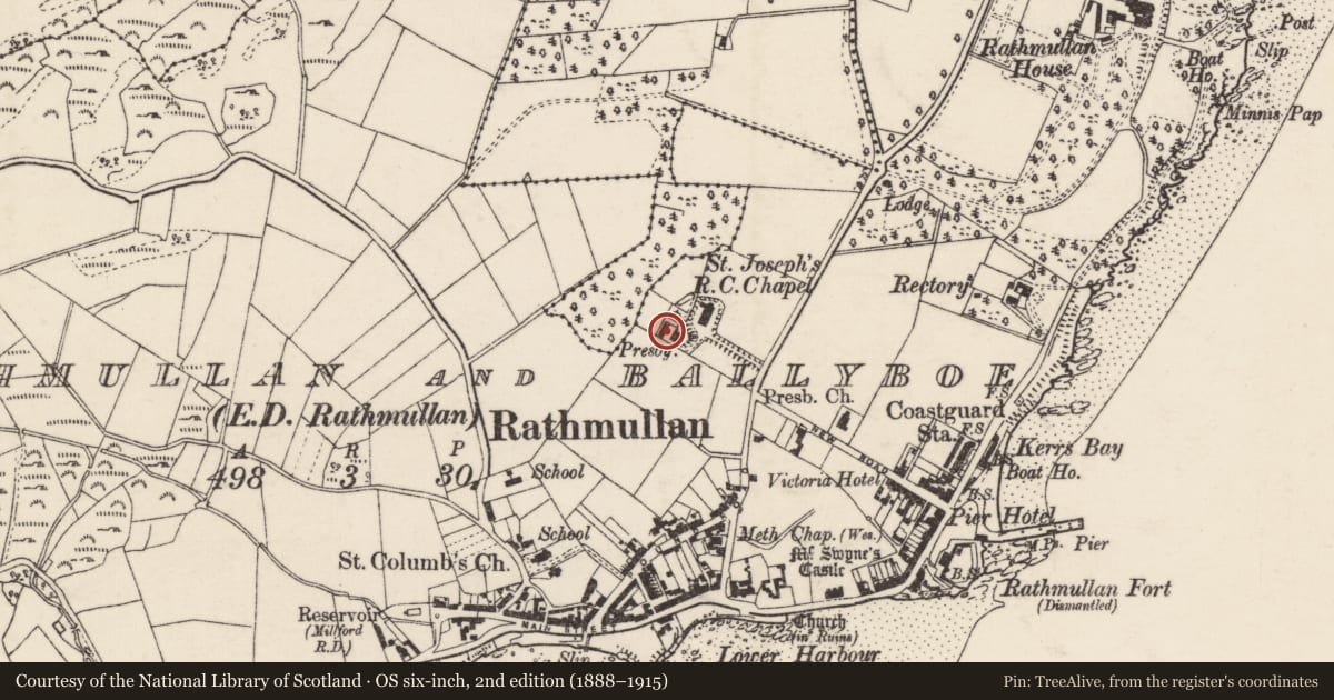 Ordnance Survey six-inch map, 2nd edition (1888–1915) covering the location of Stone head, Rathmullan And Ballyboe, County Donegal, with a pin at the register's coordinates
