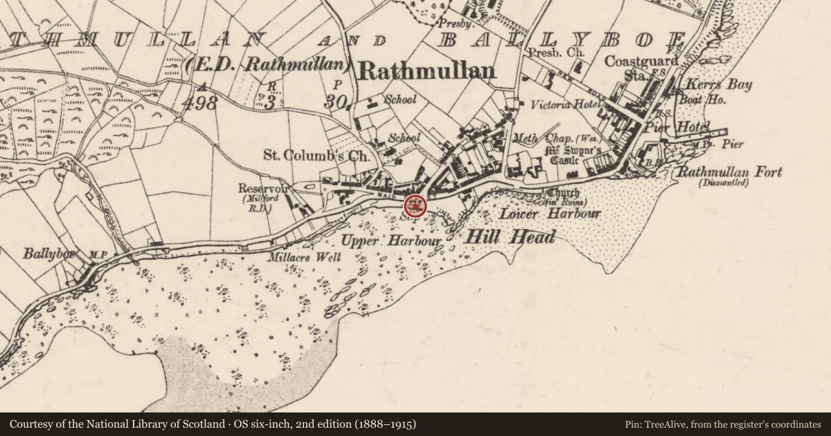 Ordnance Survey six-inch map, 2nd edition (1888–1915) covering the location of Cross-inscribed stone, Rathmullan And Ballyboe, County Donegal, with a pin at the register's coordinates