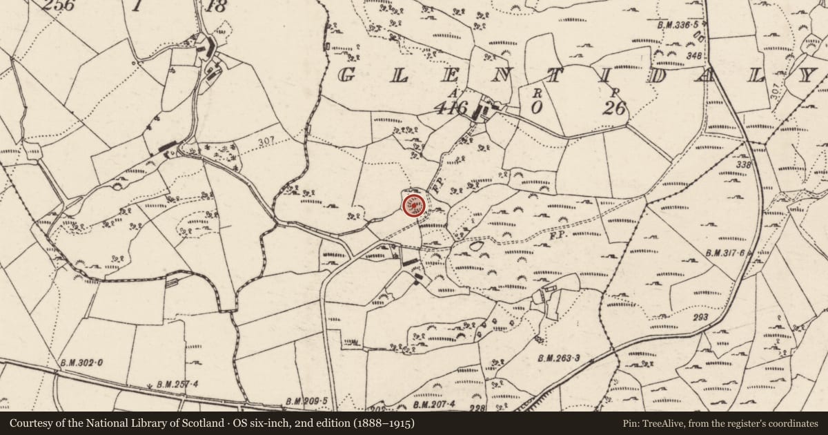 Ordnance Survey six-inch map, 2nd edition (1888–1915) covering the location of Ringfort - cashel, Glentidaly, County Donegal, with a pin at the register's coordinates