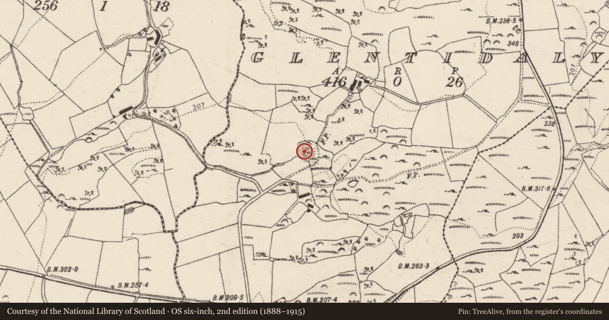 Ordnance Survey six-inch map, 2nd edition (1888–1915) covering the location of Souterrain, Glentidaly, County Donegal, with a pin at the register's coordinates