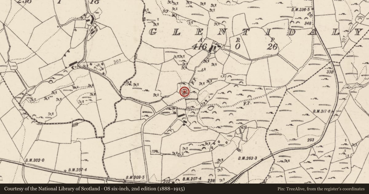 Ordnance Survey six-inch map, 2nd edition (1888–1915) covering the location of Structure, Glentidaly, County Donegal, with a pin at the register's coordinates