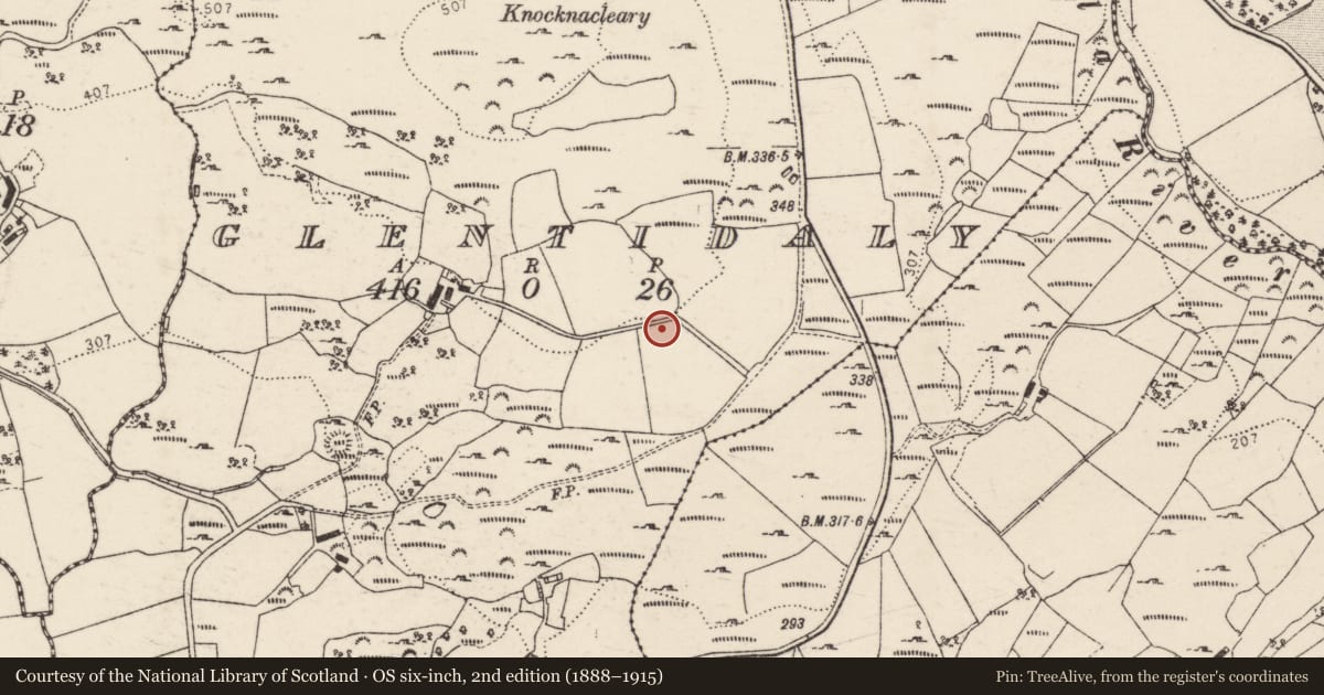 Ordnance Survey six-inch map, 2nd edition (1888–1915) covering the location of Standing stone, Glentidaly, County Donegal, with a pin at the register's coordinates