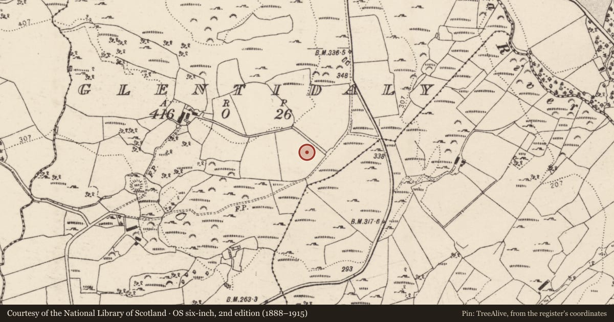 Ordnance Survey six-inch map, 2nd edition (1888–1915) covering the location of Standing stone, Glentidaly, County Donegal, with a pin at the register's coordinates
