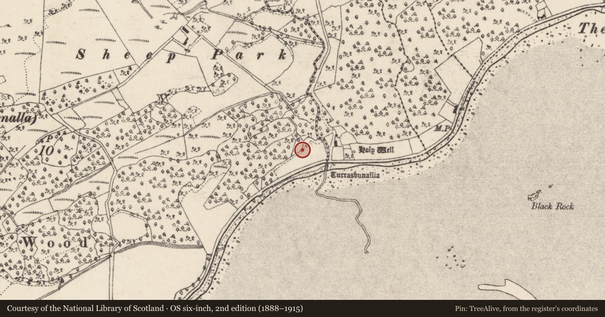 Ordnance Survey six-inch map, 2nd edition (1888–1915) covering the location of Stone circle, Ráith (TC Gleann Eala), County Donegal, with a pin at the register's coordinates