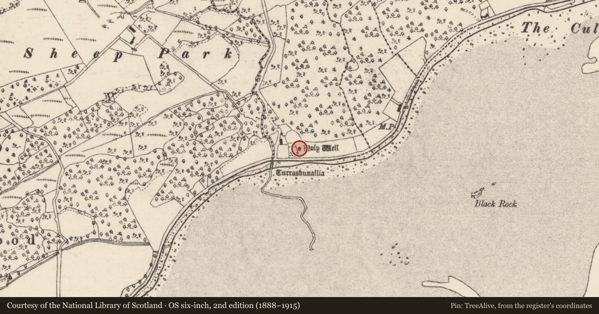 Ordnance Survey six-inch map, 2nd edition (1888–1915) covering the location of Ritual site - holy well, Craigmaddyroe Far, County Donegal, with a pin at the register's coordinates