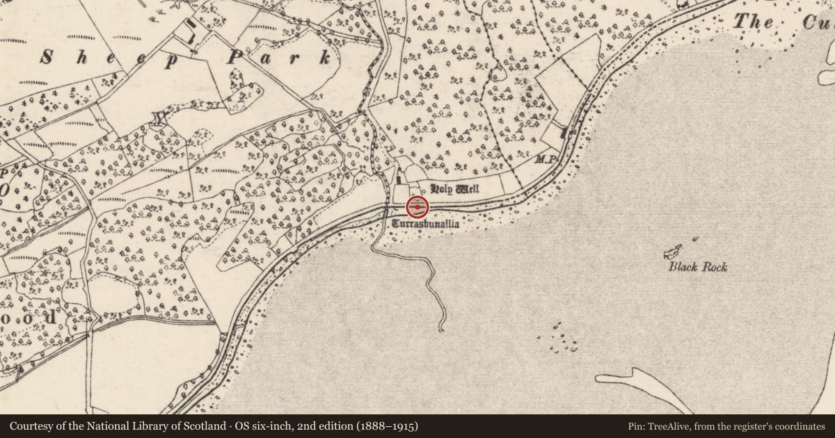 Ordnance Survey six-inch map, 2nd edition (1888–1915) covering the location of Ritual site - holy well, Craigmaddyroe Far, County Donegal, with a pin at the register's coordinates