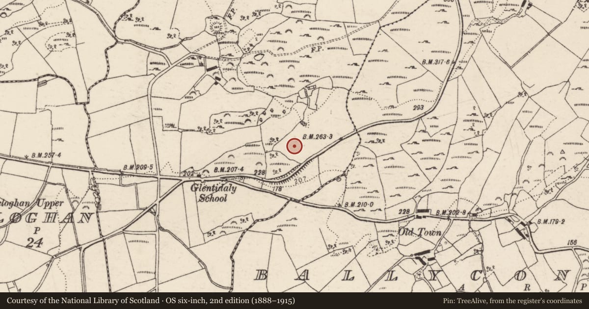 Ordnance Survey six-inch map, 2nd edition (1888–1915) covering the location of Ringfort - unclassified, Glentidaly, County Donegal, with a pin at the register's coordinates