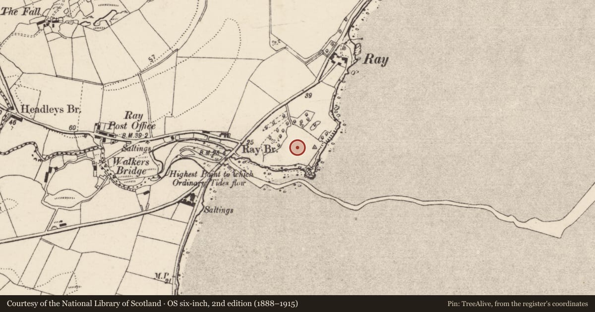 Ordnance Survey six-inch map, 2nd edition (1888–1915) covering the location of Stone circle, Ráith (TC Gleann Eala), County Donegal, with a pin at the register's coordinates