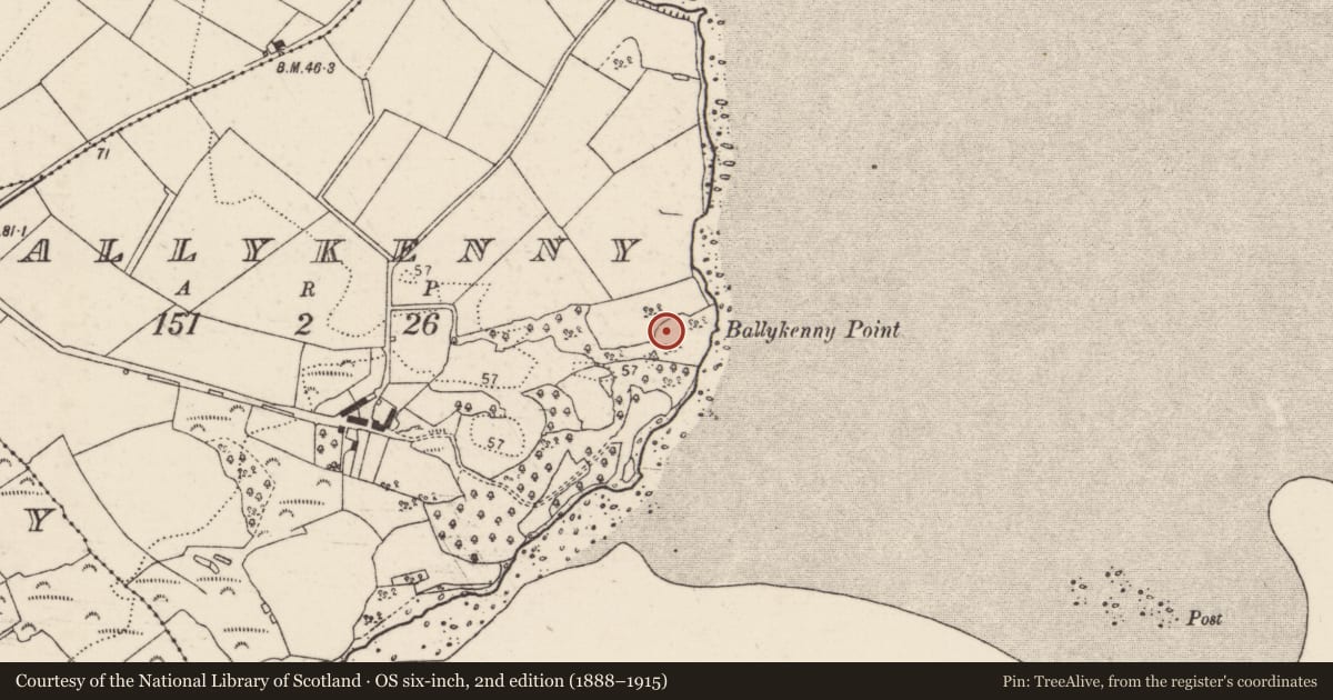 Ordnance Survey six-inch map, 2nd edition (1888–1915) covering the location of Cairn - unclassified, Ballykenny, County Donegal, with a pin at the register's coordinates