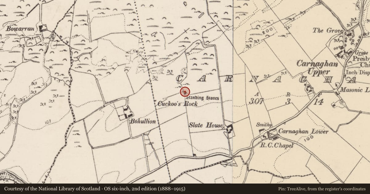 Ordnance Survey six-inch map, 2nd edition (1888–1915) covering the location of Cist, Carnaghan, County Donegal, with a pin at the register's coordinates