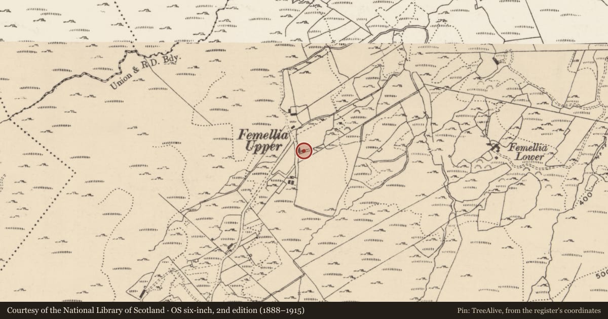 Ordnance Survey six-inch map, 2nd edition (1888–1915) covering the location of Standing stone, Ballynahone, County Donegal, with a pin at the register's coordinates