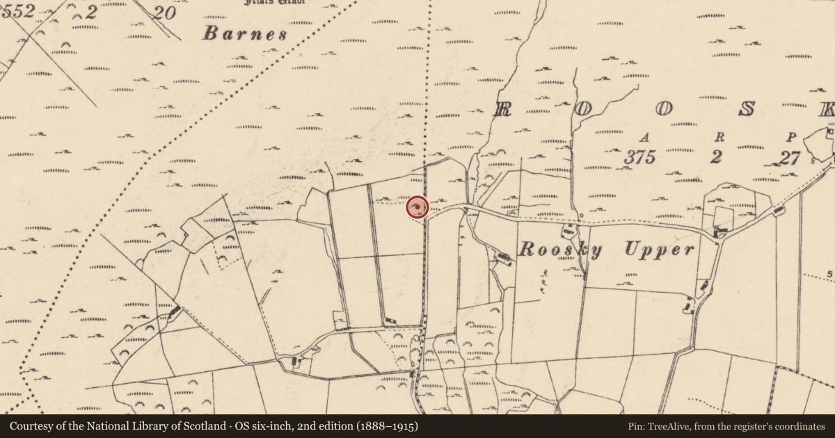 Ordnance Survey six-inch map, 2nd edition (1888–1915) covering the location of Rock art, Carrowmullin, County Donegal, with a pin at the register's coordinates