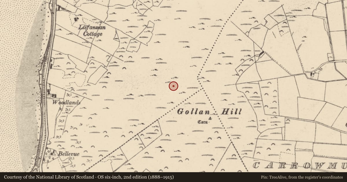 Ordnance Survey six-inch map, 2nd edition (1888–1915) covering the location of Rock art, Lisfannan, County Donegal, with a pin at the register's coordinates
