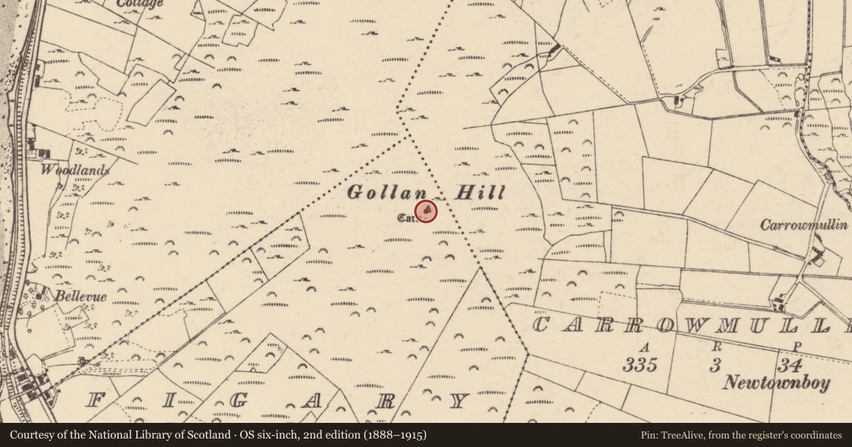 Ordnance Survey six-inch map, 2nd edition (1888–1915) covering the location of Cairn - unclassified, Figary, County Donegal, with a pin at the register's coordinates