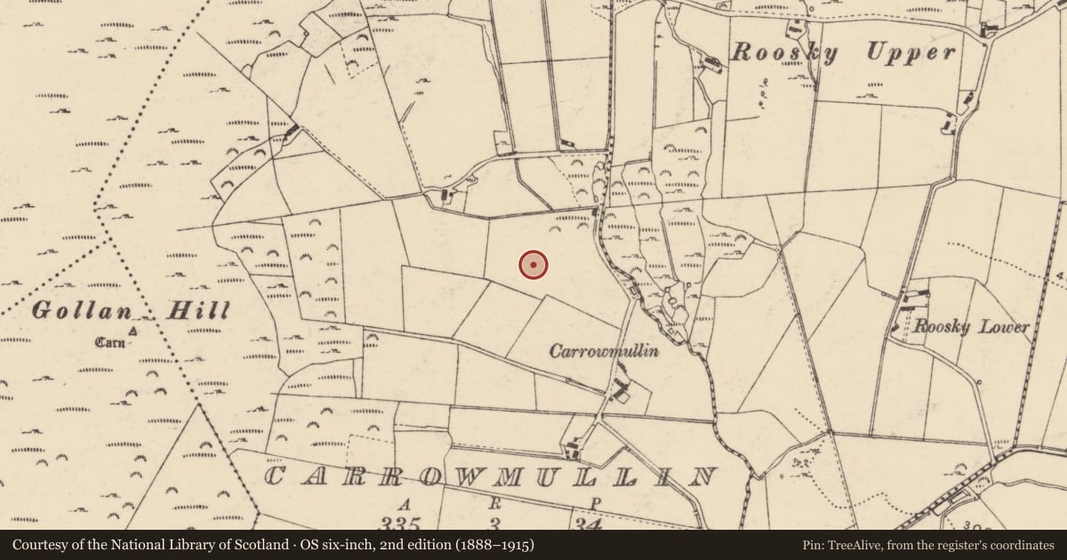 Ordnance Survey six-inch map, 2nd edition (1888–1915) covering the location of Ringfort - cashel, Carrowmullin, County Donegal, with a pin at the register's coordinates