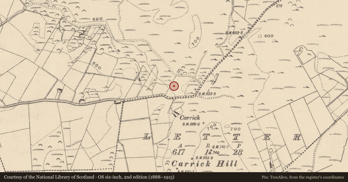 Ordnance Survey six-inch map, 2nd edition (1888–1915) covering the location of Standing stone, Ballynahone, County Donegal, with a pin at the register's coordinates