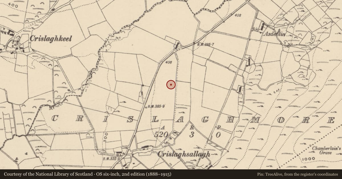 Ordnance Survey six-inch map, 2nd edition (1888–1915) covering the location of Standing stone, Crislaghmore, County Donegal, with a pin at the register's coordinates