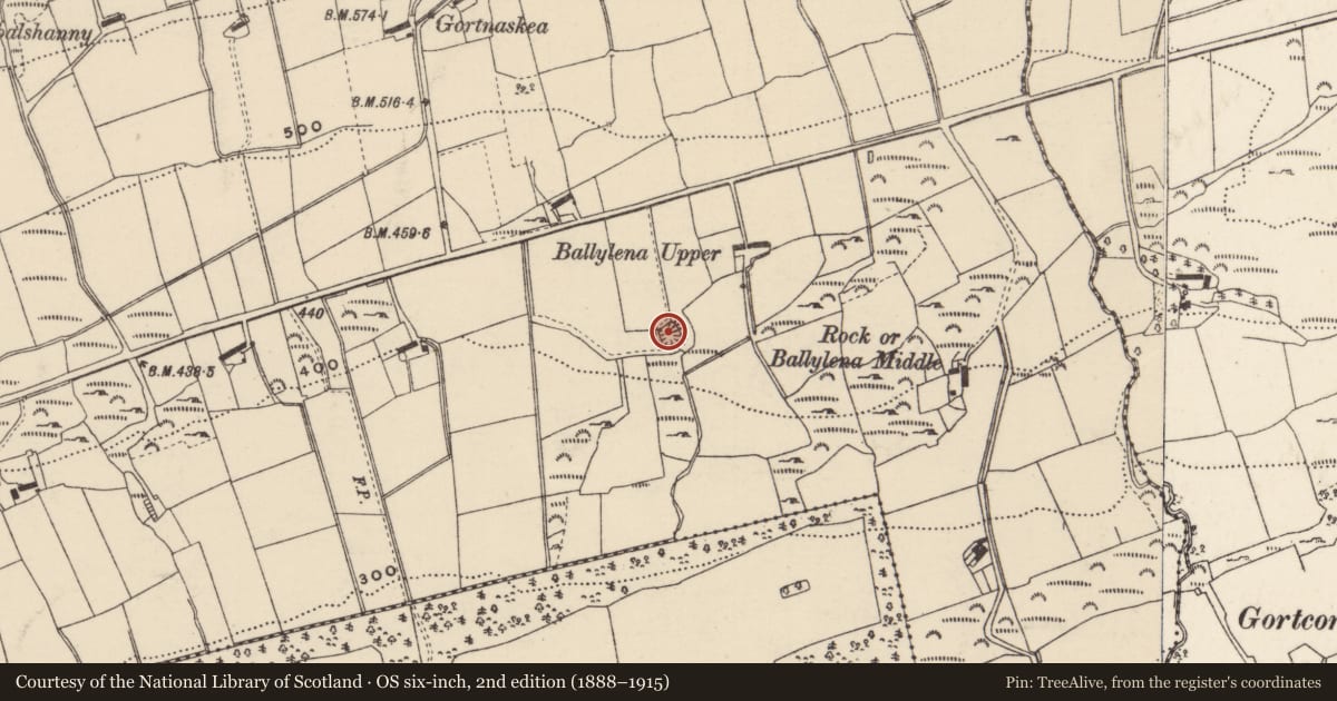 Ordnance Survey six-inch map, 2nd edition (1888–1915) covering the location of Ringfort - rath, Gortnaskea, County Donegal, with a pin at the register's coordinates
