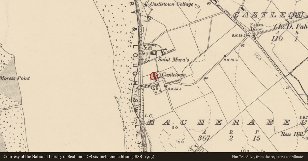 Ordnance Survey six-inch map, 2nd edition (1888–1915) covering the location of Castle - tower house, An MacHaire Beag (TC Fathain), County Donegal, with a pin at the register's coordinates