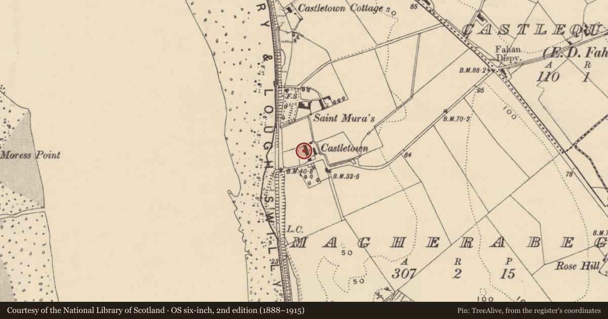 Ordnance Survey six-inch map, 2nd edition (1888–1915) covering the location of Bawn, An MacHaire Beag (TC Fathain), County Donegal, with a pin at the register's coordinates