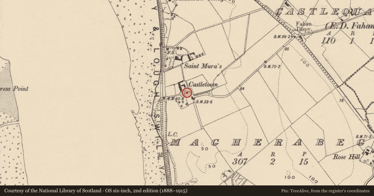 Ordnance Survey six-inch map, 2nd edition (1888–1915) covering the location of Bullaun stone, Maghera Beg, County Donegal, with a pin at the register's coordinates