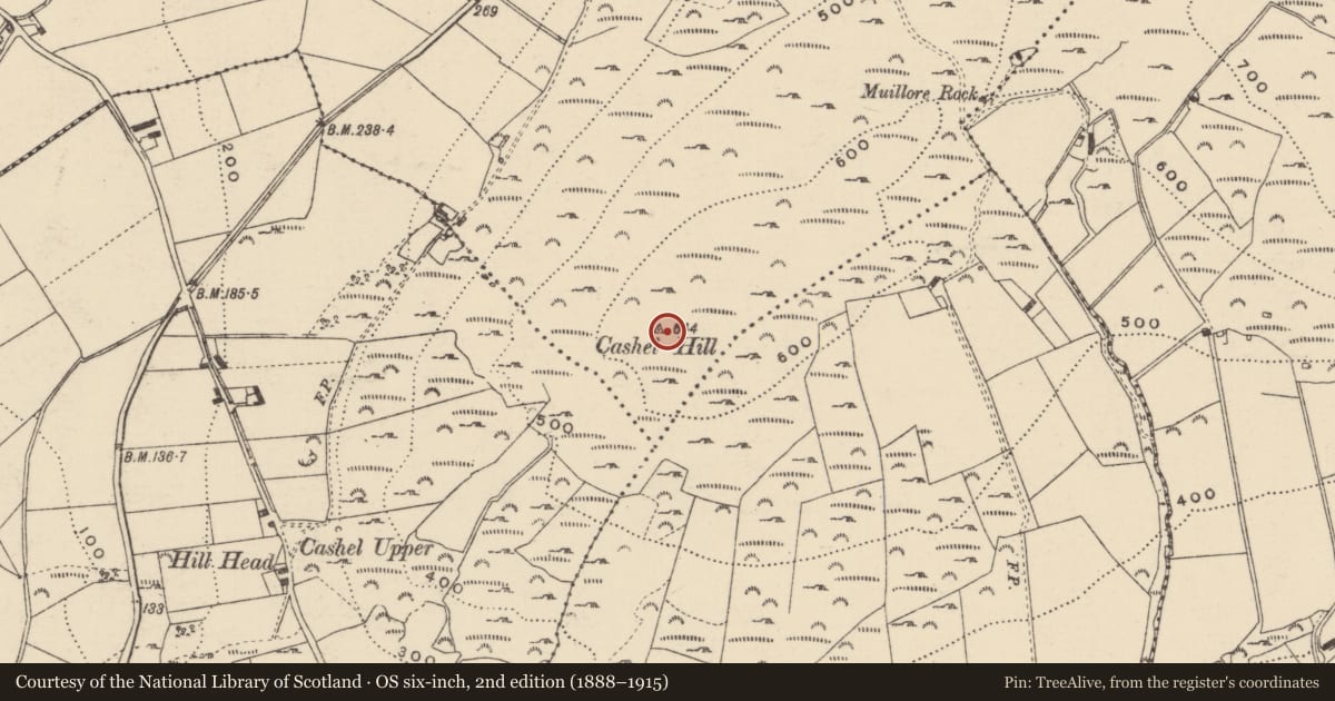 Ordnance Survey six-inch map, 2nd edition (1888–1915) covering the location of Ringfort - cashel, Crislaghmore, County Donegal, with a pin at the register's coordinates